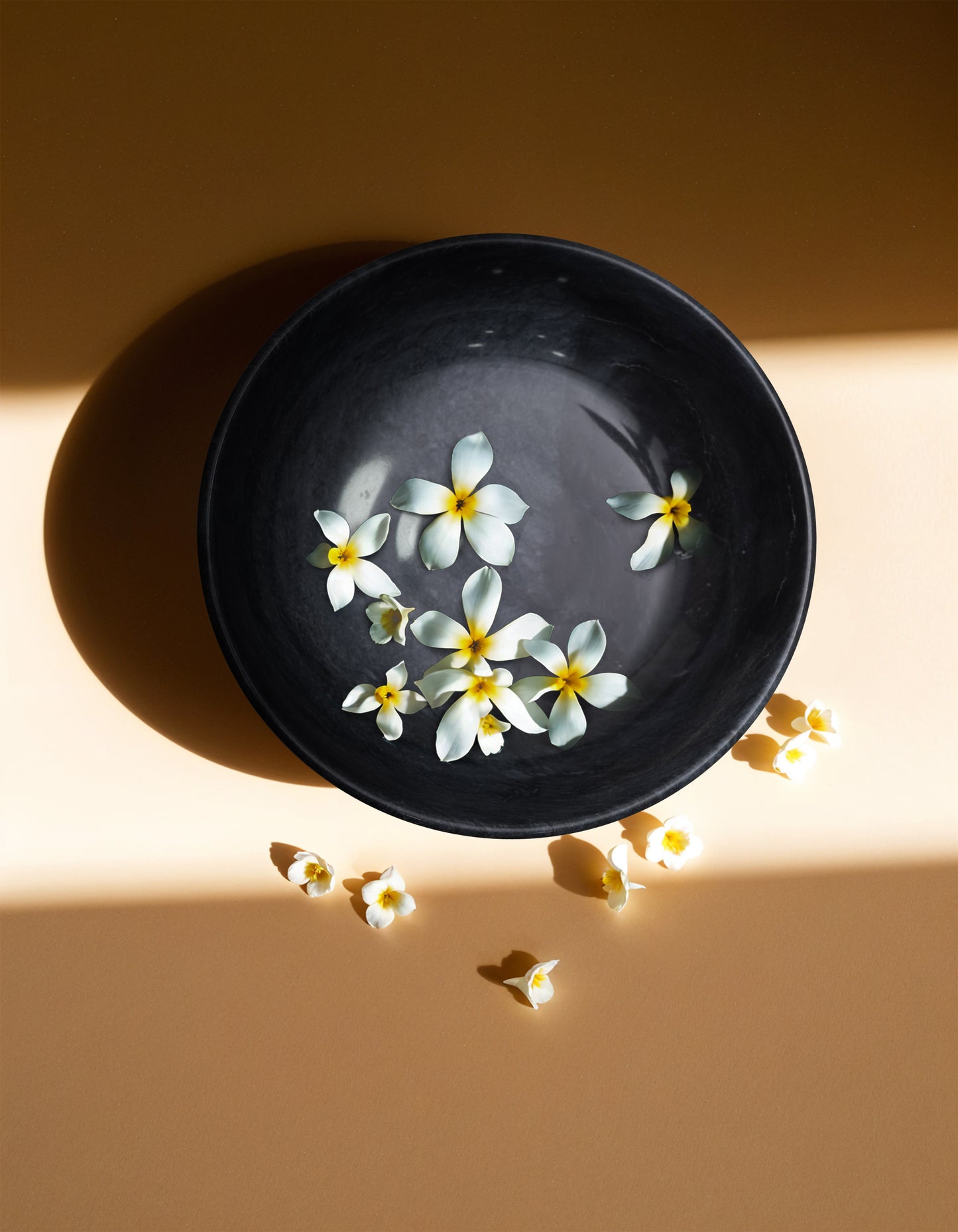 Bliss Bowl Black