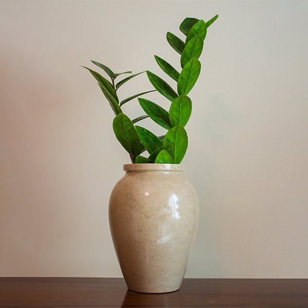 Luna Vase Ivory